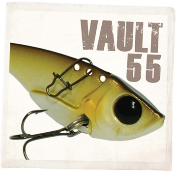 [다미끼] VAULT(볼트) 55[15G]